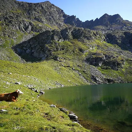Moamoosgut Goriach (Spittal an der Drau)