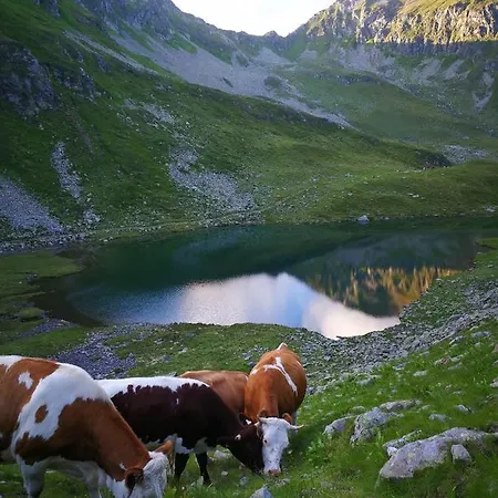 Apartment Moamoosgut *