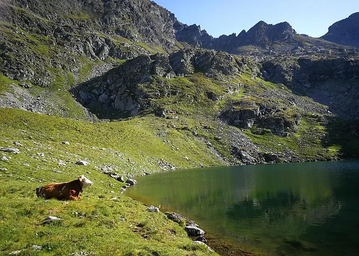 Moamoosgut Goriach (Spittal an der Drau)