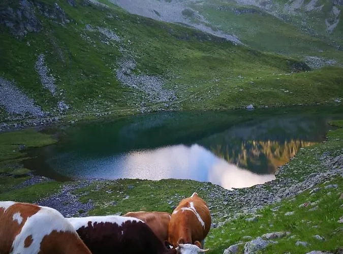 アパート Moamoosgut *